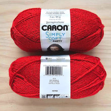 Load image into Gallery viewer, Caron Simply Soft - Party Yarn