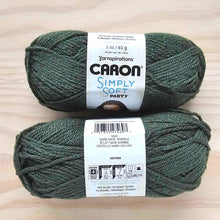Load image into Gallery viewer, Caron Simply Soft - Party Yarn