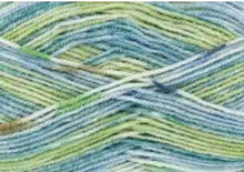 Load image into Gallery viewer, King Cole Splash DK