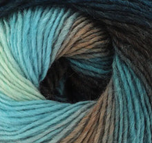 Load image into Gallery viewer, King Cole Riot DK