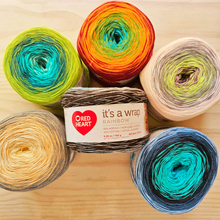Load image into Gallery viewer, Red Heart - It's a Wrap Rainbow