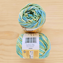 Load image into Gallery viewer, Lily Sugar'n Cream - Variegated