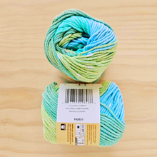 Load image into Gallery viewer, Lily Sugar'n Cream - Variegated