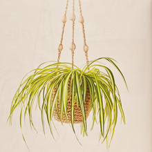 Load image into Gallery viewer, Bookazine - Supersize Crochet