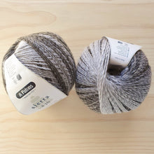 Load image into Gallery viewer, Patons - Sierra 8ply