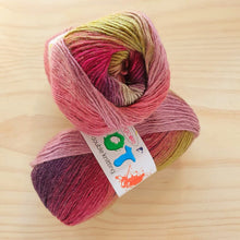 Load image into Gallery viewer, King Cole Riot DK