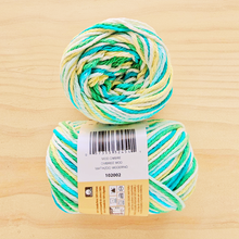 Load image into Gallery viewer, Lily Sugar'n Cream - Variegated