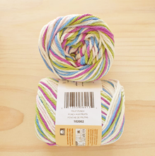 Load image into Gallery viewer, Lily Sugar'n Cream - Variegated