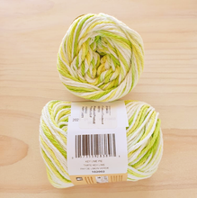 Load image into Gallery viewer, Lily Sugar'n Cream - Variegated