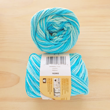 Load image into Gallery viewer, Lily Sugar'n Cream - Variegated