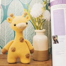 Load image into Gallery viewer, Bookazine - Simple Steps to Crochet