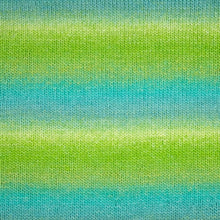 Load image into Gallery viewer, Panda - Crypto
